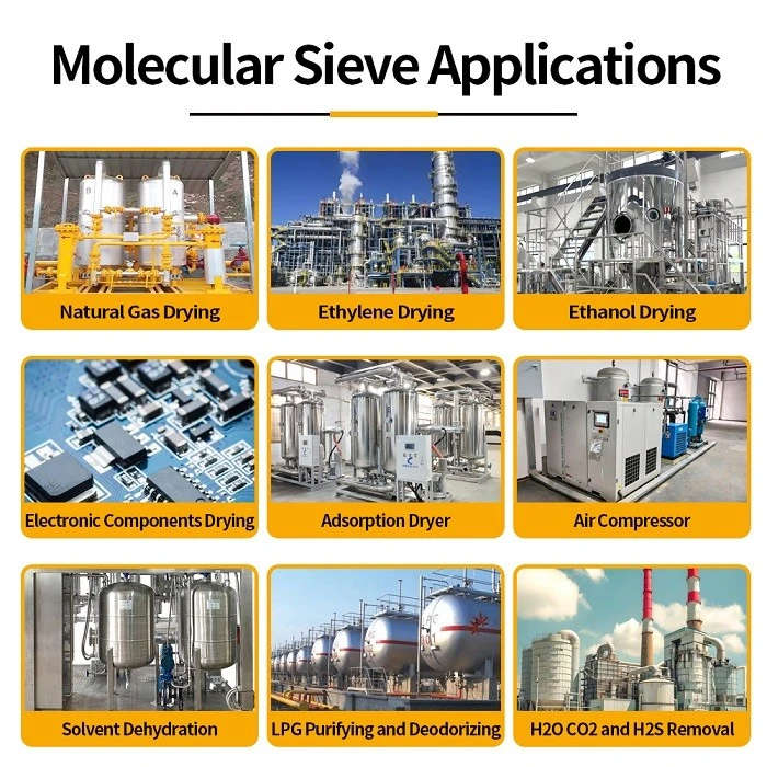 MS Application -